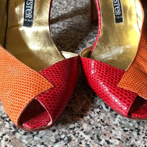 COLORFUL AND STUNNING! LIZARD AT ITS BEST! - Picture 6 of 6